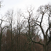IMG_3449r.jpg